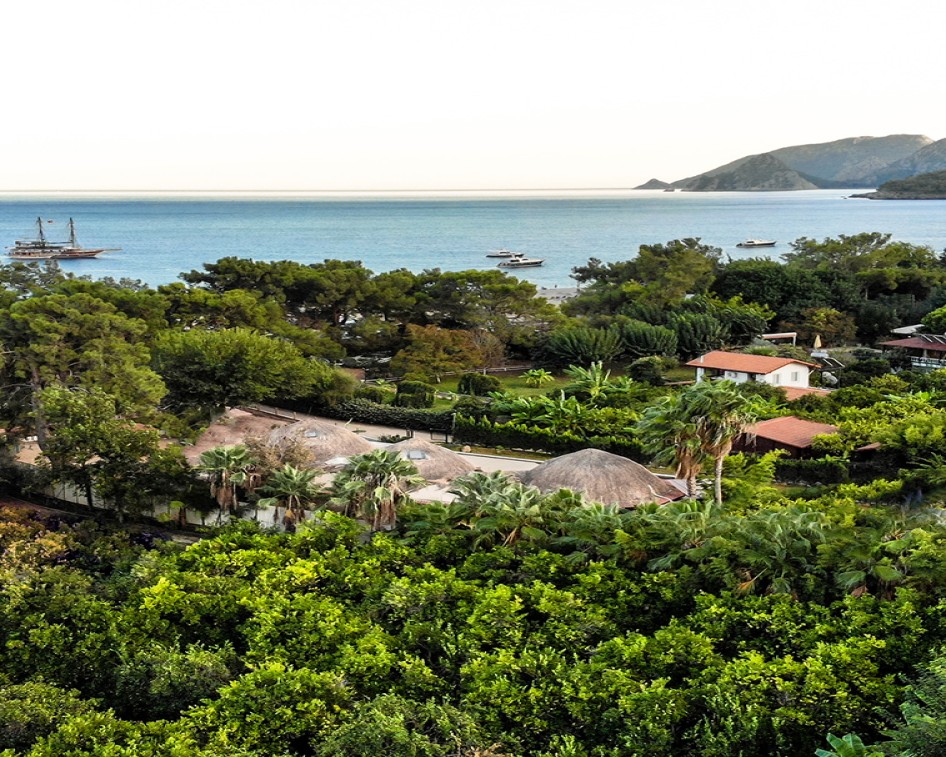 Seaden Sea Planet Resort & Spa